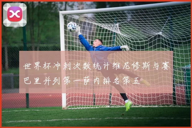 世界杯冲刺次数统计维尼修斯与赛巴里并列第一萨内排名第五